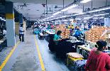 factory_3.jpg